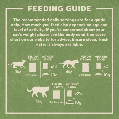 Harringtons Adult Wet Cat Food Meat in Jelly Multipack
