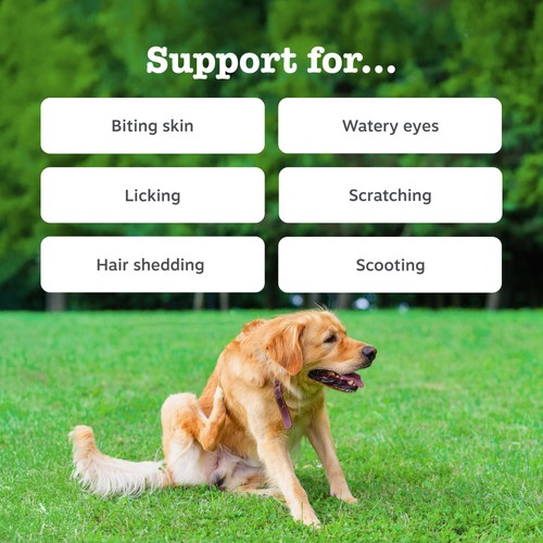 Zesty Paws Allergy & Immunity Chews Rich in Salmon Dog Treats