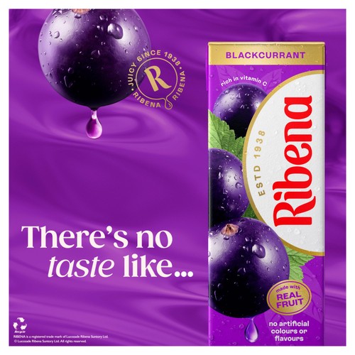 Ribena Blackcurrant Juice Cartons