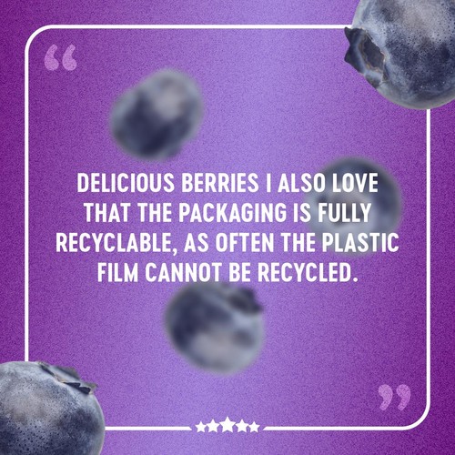 BerryWorld Blueberries