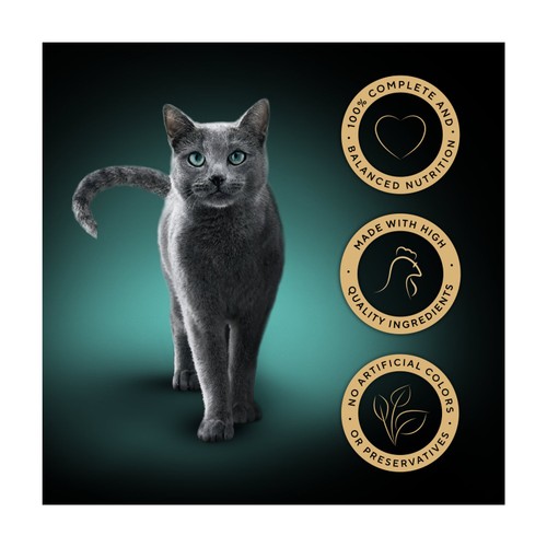 Sheba Select Slices Cat Food Tray with Chicken in Gravy 