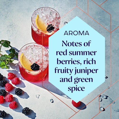Bombay Bramble Distilled Gin