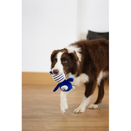 Battersea Rubber Belly Bear