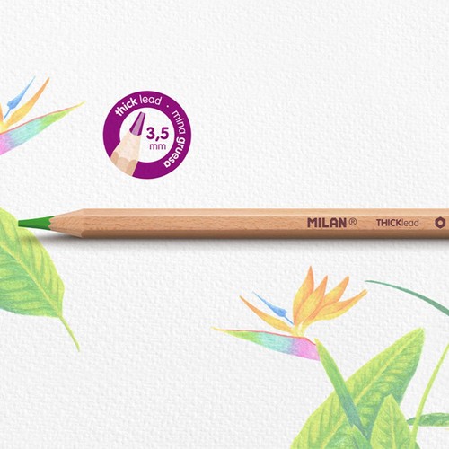 MILAN Box 12 hexagonal colour pencils with thick lead