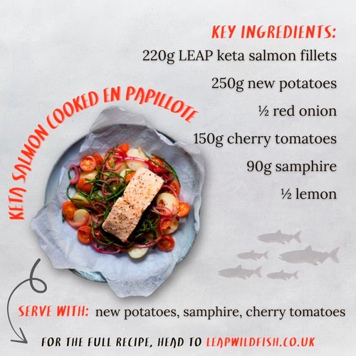 LEAP MSC Keta Salmon Fillets 