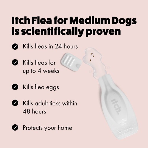 Itch Flea Medium Dog Spot-On Flea & Tick treatment (10-20kg)