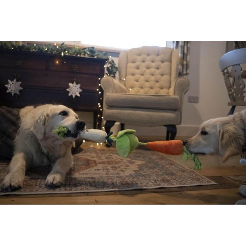 Petface Veggie Tugger Dog Toy