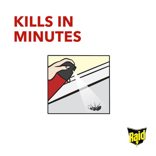 Raid Ant & Cockroach Killer