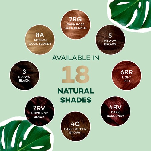 Clairol Natural Instincts Hair Dye 6 Light Brown