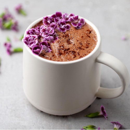 Sweet Revolution Organic Instant Hot Chocolate