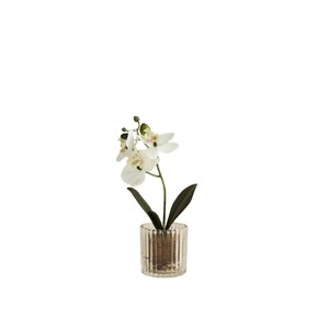 Artificial Small Orchid in Glass Pot, White