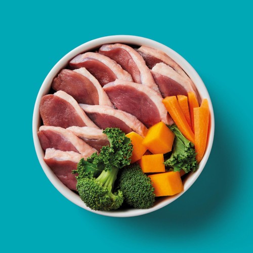 Nutriment Duck Formula Raw Dog Food
