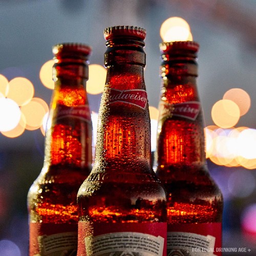 Budweiser Lager Beer Bottle
