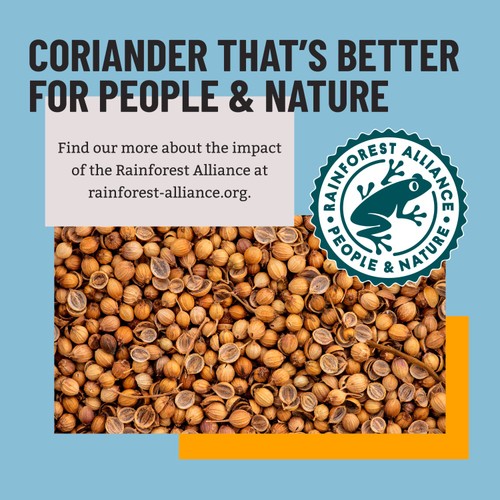 Bart Coriander Seeds