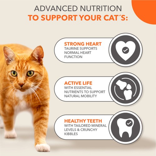 IAMS Senior Dry Cat Food Tuna