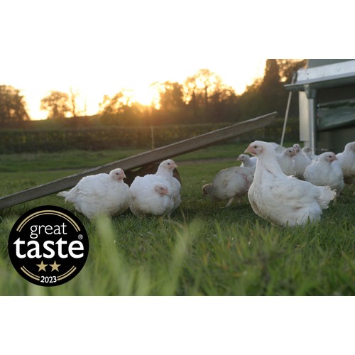 Packington Free Range Large Chicken