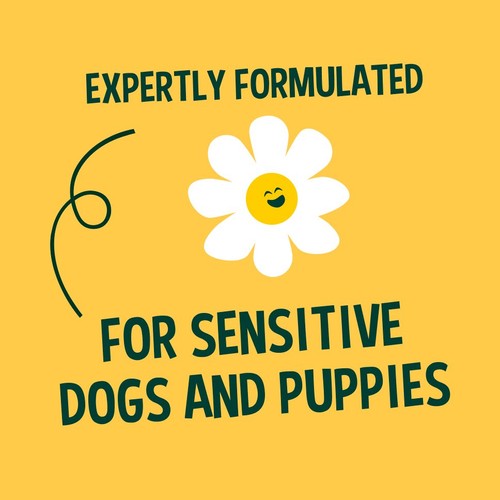 Faith In Nature Dog Care Shampoo Chamomile