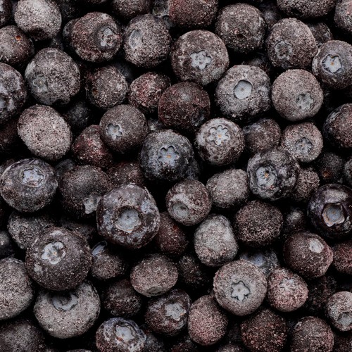 PACK'D Organic & Large Sun-Ripened Blueberries