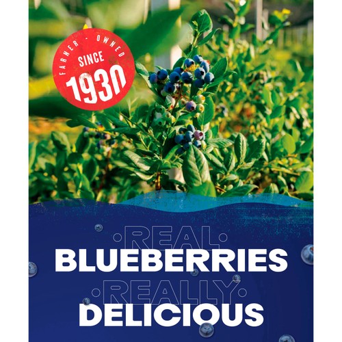 Ocean Spray Blueberry