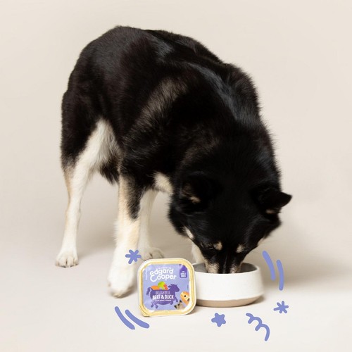 Edgard & Cooper Adult Grain Free Wet Dog Food with Beef & Duck