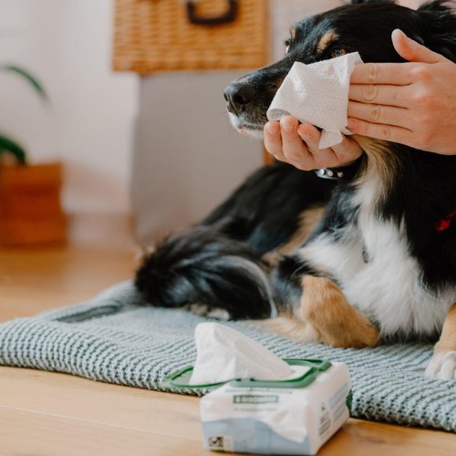Beco Dog Eye Wipes 70 Pack