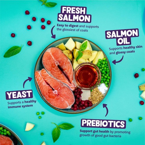 Edgard & Cooper Cat Dry Food Adult Salmon