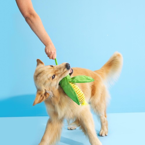 Bark Corn On The Slob Dog Toy
