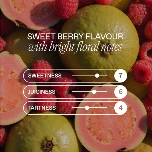 Goodrays CBD Drinks - Raspberry & Guava