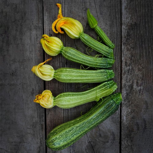 She Grows Veg Courgette Striato Seeds