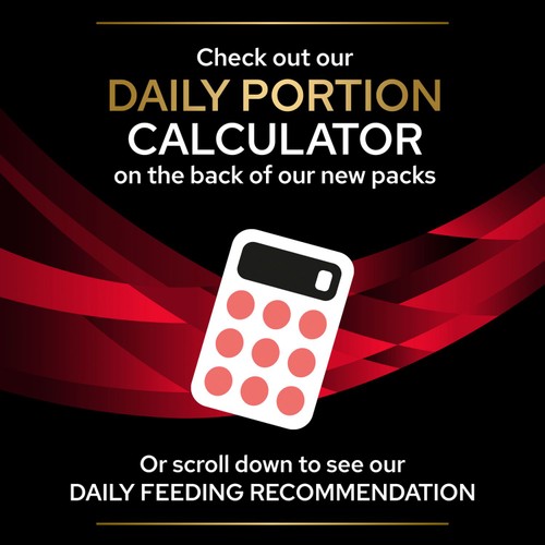 Pro Plan Veterinary Diets DM Diabetes Management Dry Cat Food