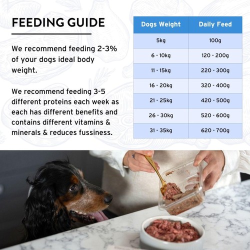 Benyfit Natural Meat Feast Complete Raw Dog Food