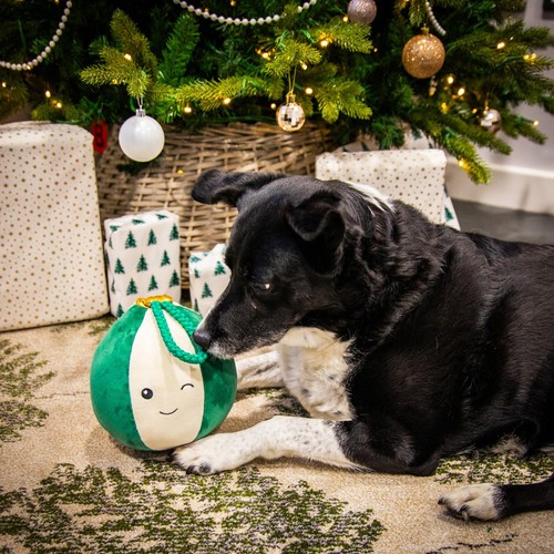 Cupid & Comet Blitzen Bauble Dog Toy