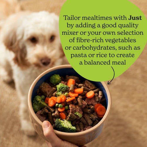 Forthglade Complementary Grain Free Wet Dog Food Just 90% Chicken