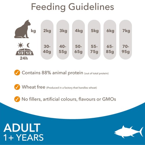 IAMS Advanced Nutrition Adult Dry Cat Food Tuna