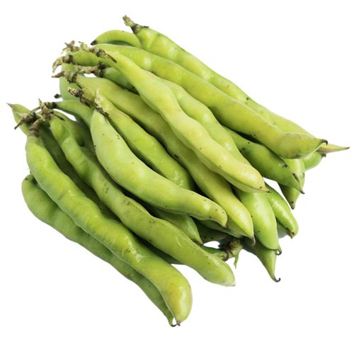 Wholegood Organic British Fresh Broad Beans