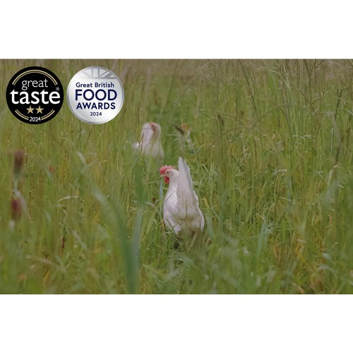 Packington Free Range White Free Range Eggs