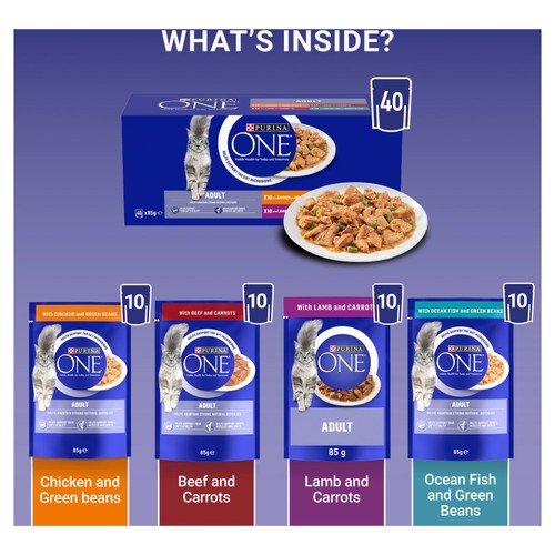 Purina One Mini Fillets Mixed Selection in Gravy Wet Cat Food 