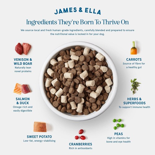 James & Ella Raw Kibble + Freeze Dried Game Dry Dog Food
