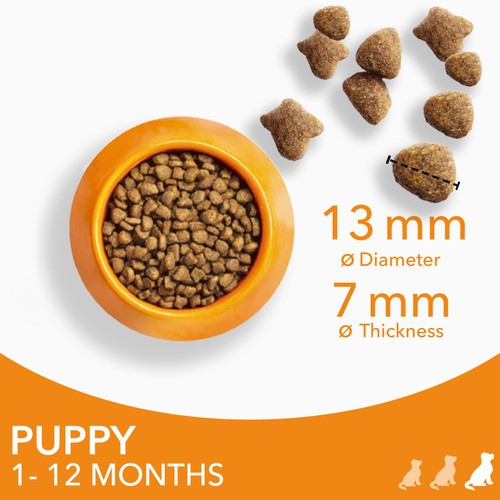 IAMS Advanced Nutrition Puppy Food Large Breed with Fresh Chicken