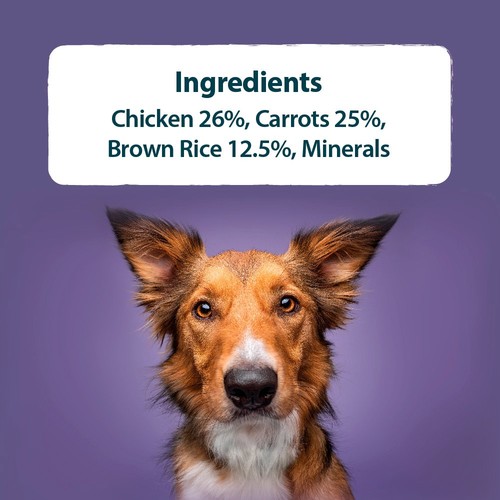 Burns Wet Food Free Range Chicken With Carrots & Brown Rice