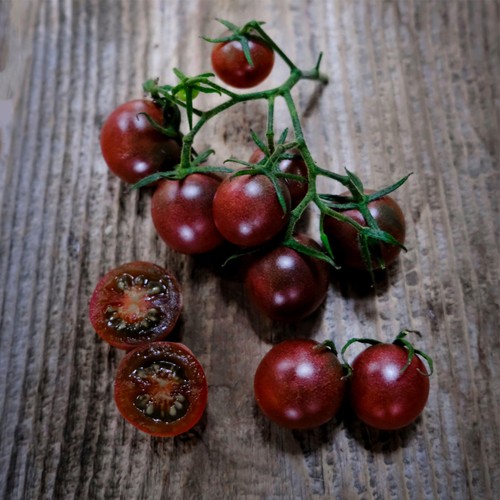 She Grows Veg Tomato Black Cherry Seeds