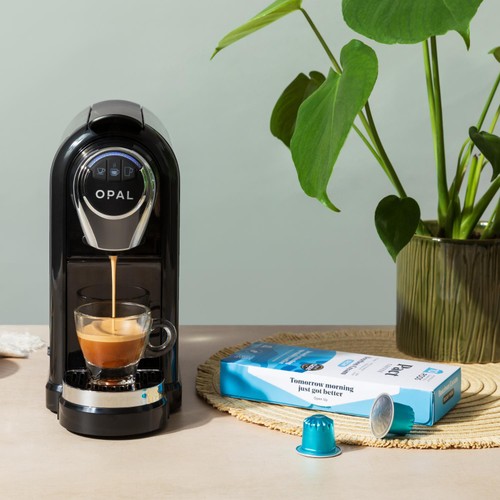 Pact Coffee Bourbon Cream Decaf Pods 10s