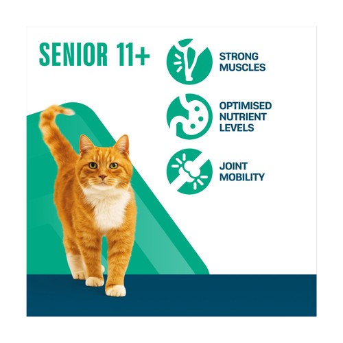 Perfect Fit Advanced Nutrition Senior 11+ Complete Dry Cat Food Chicken
