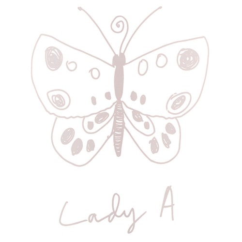 Lady A Provence Rose Magnum