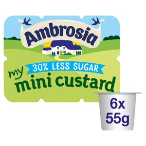 Devon Custard Dessert Carton 500g