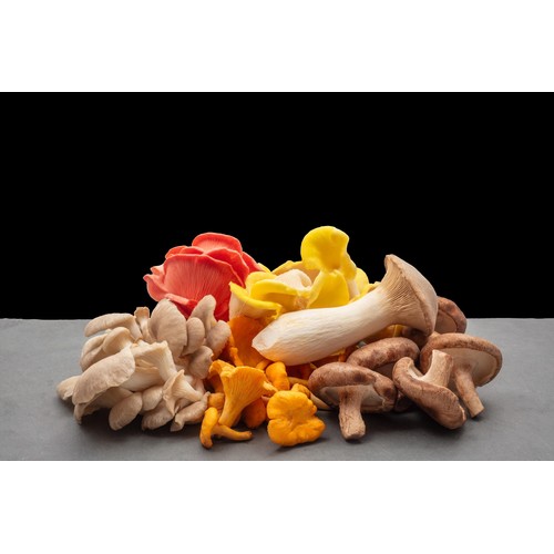 Smithy Mushrooms Ltd Seasonal Exotic Mushroom Mix