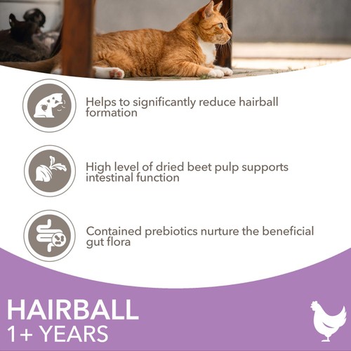 IAMS 1+ Years Hairball Dry Cat Food Chicken