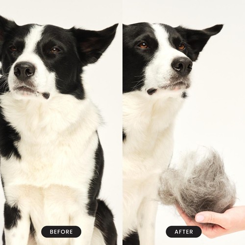 Pet Teezer De-Shedding Dog Grooming Brush