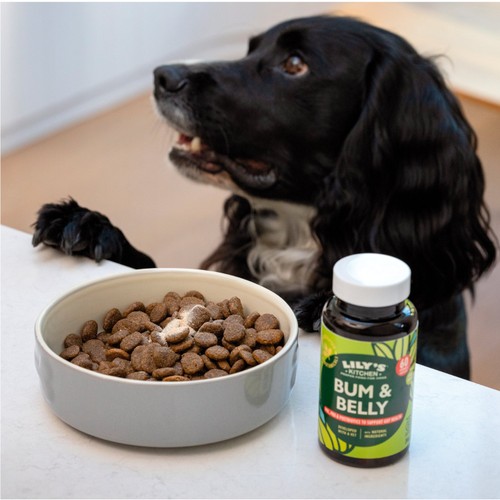 Lily's Kitchen Bum & Belly Supplement for Dogs