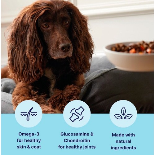 Tails.com Inner Vitality Variety Multipack